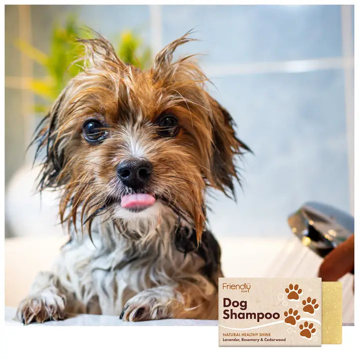 Friendly Soap Dog Shampoo Bar