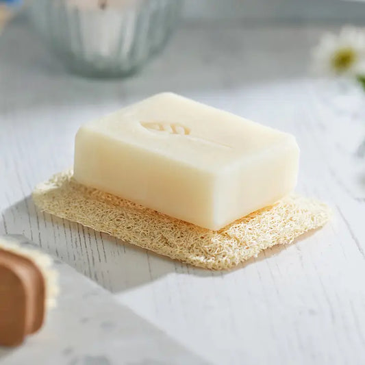 Bar of soap on a loofah with a blurred background