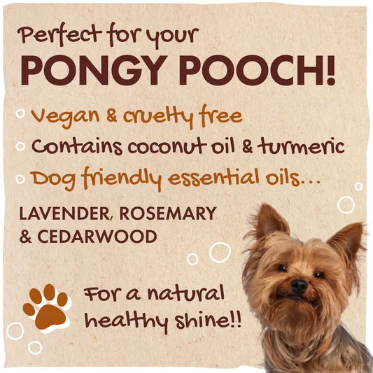 Friendly Soap Dog Shampoo Bar