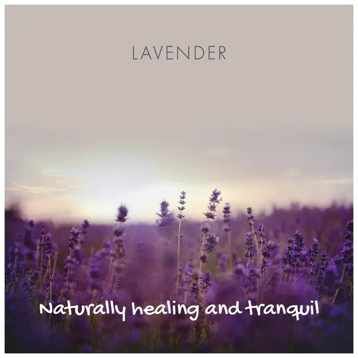 Friendly Soap Lavender Soap Bar