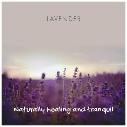 Friendly Soap Lavender Soap Bar