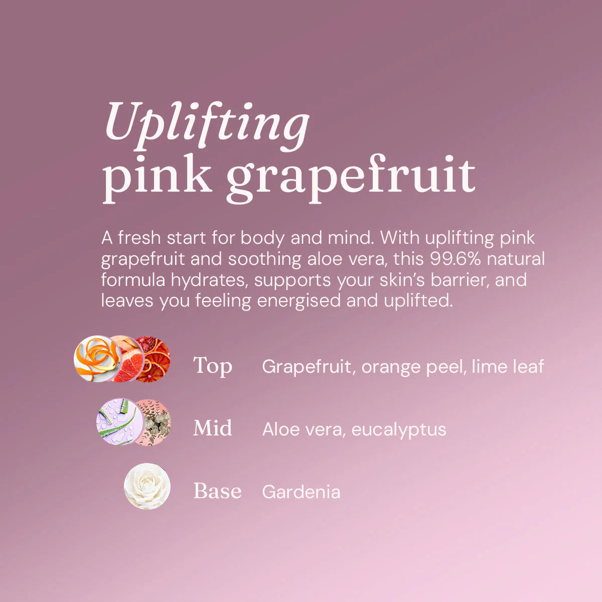 Bodywash + Bubblebath - Uplifting Pink Grapefruit 5L Refill