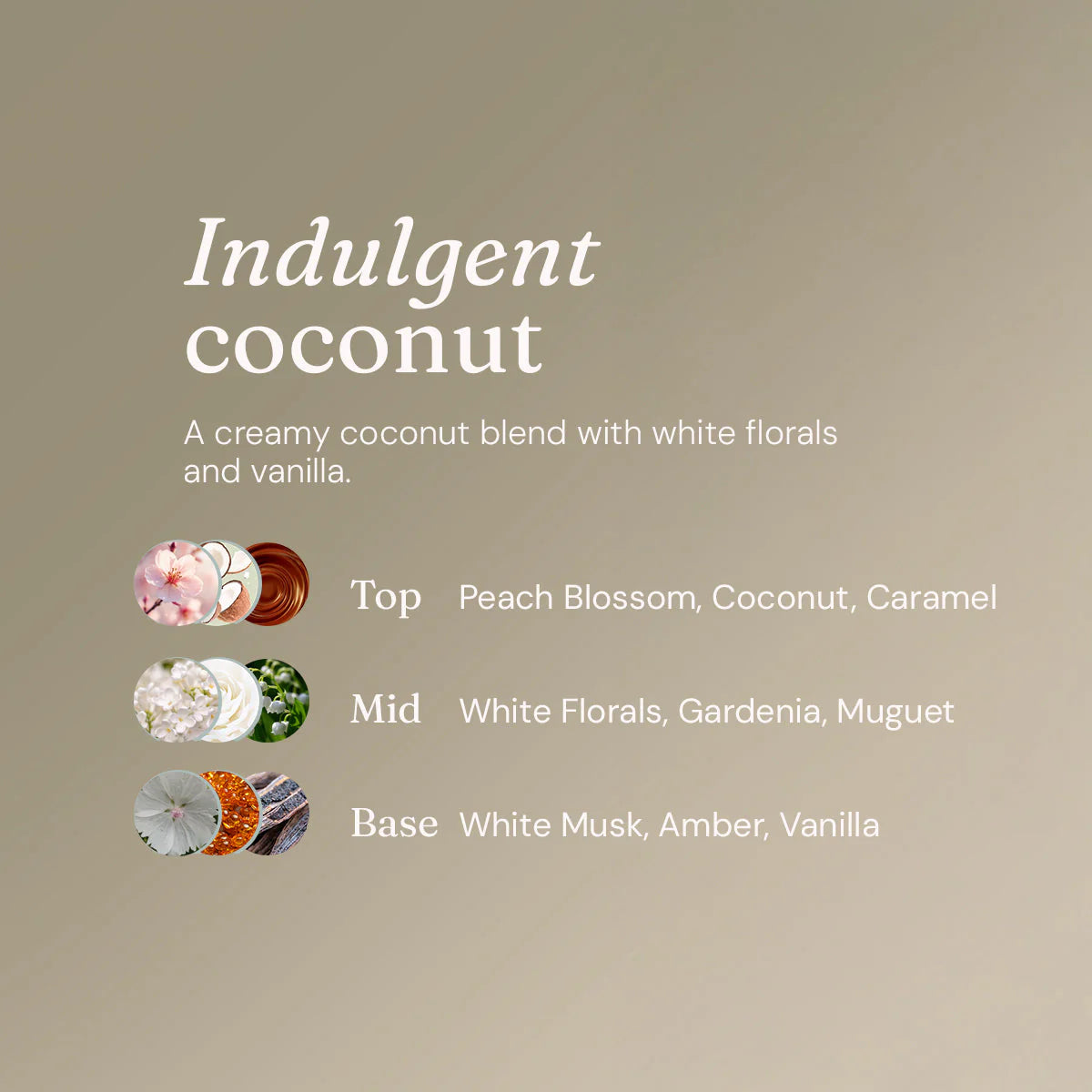 Miniml Scent Booster: Indulgent Coconut