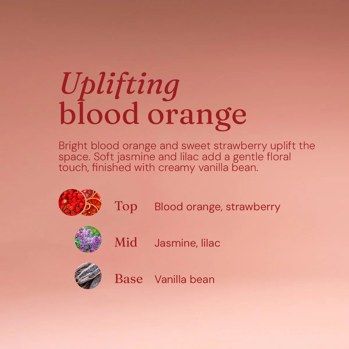 Miniml Eco Multi-Surface Cleaner 5L refill - Blood Orange