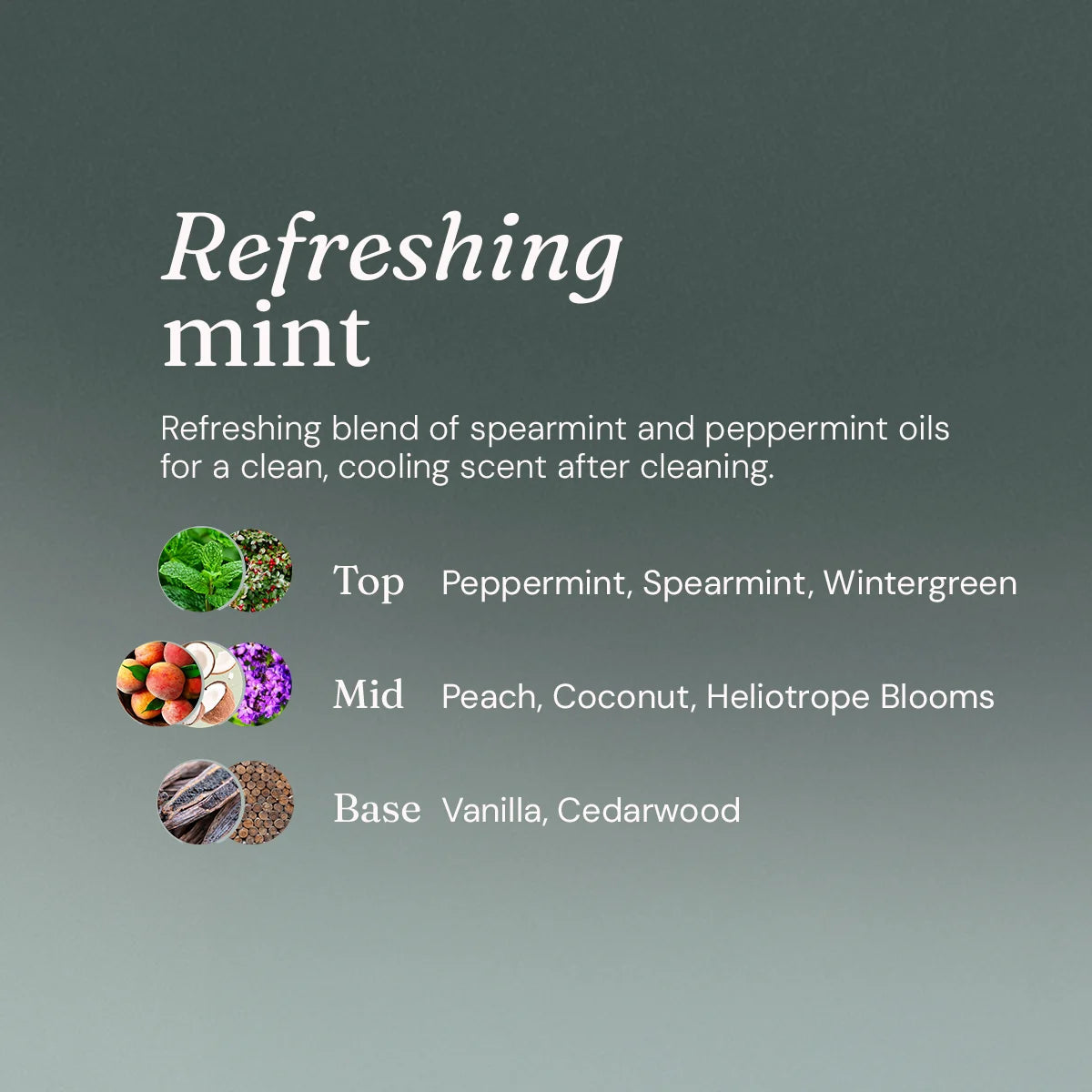 Miniml 1 litre Refreshing Mint Toilet Cleaner  - 5 litre refill