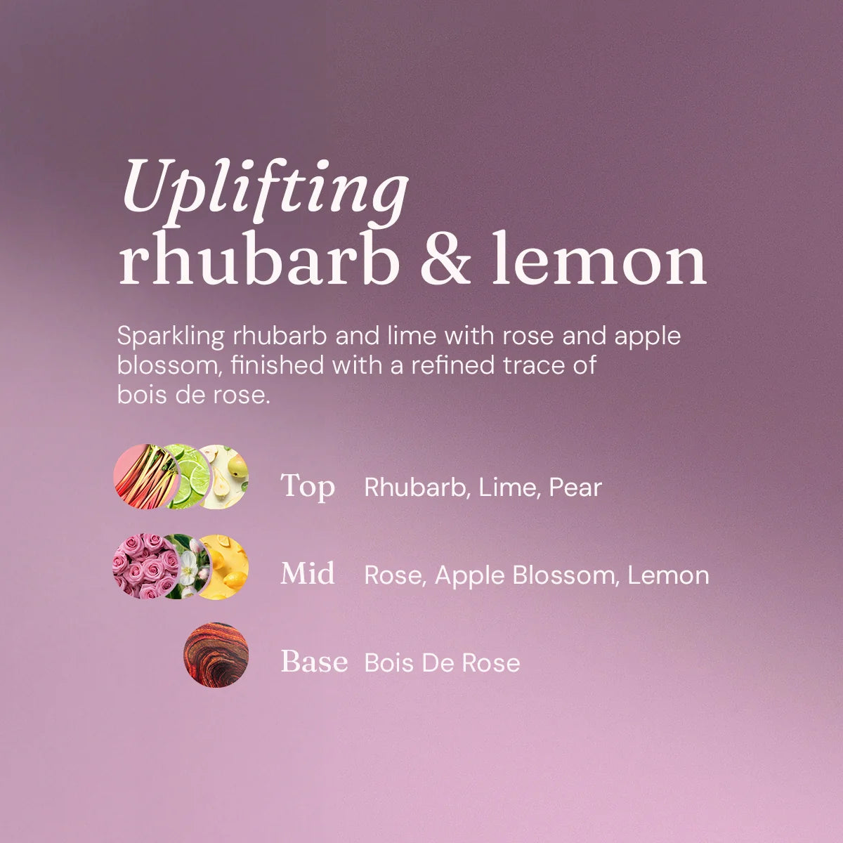 Miniml washing up liquid 5L refill - Uplifting Rhubarb and Lemon