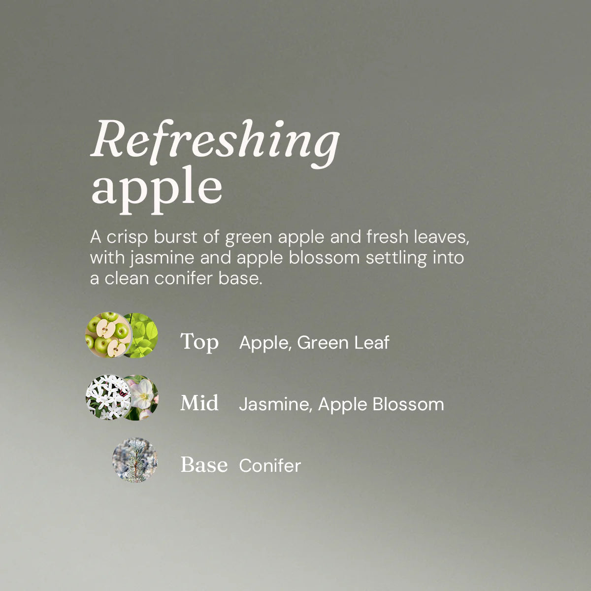 Miniml Washing Up Liquid - Refreshing Apple - 5L Refill